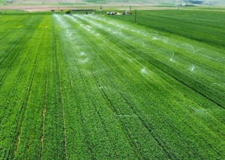 MS terá R$ 18,5 milhões em investimento para irrigação do cultivo de cana-de-açúcar
