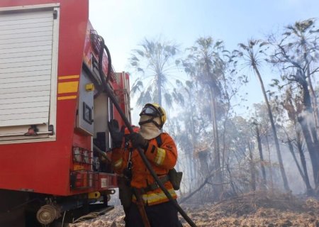 Prevfogo é autorizado a contratar brigadas federais para atuação em Mato Grosso do Sul