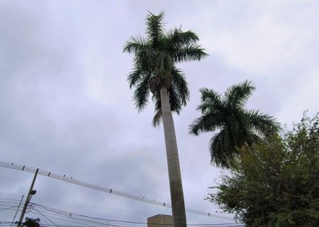 Tempo ameno persiste e segunda não passa dos 30°C em MS
